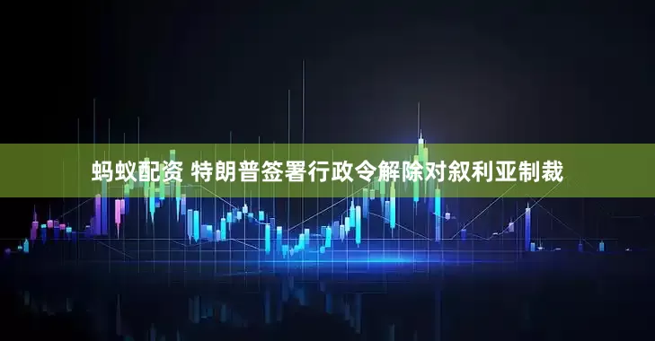 蚂蚁配资 特朗普签署行政令解除对叙利亚制裁
